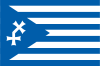 Flaga NPS.png