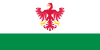 Flaga Zawarii.png