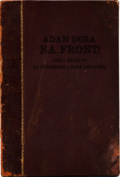 Plik:Nafront.png