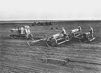 RSP KURWA