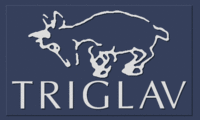 Logo triglav 460.gif