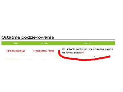 Wyałtowali się?