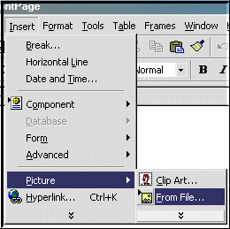 insertlogo.gif