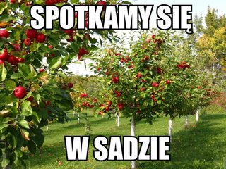 Spotkamy się w sadzie
