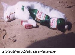 Istota świętująca 2 rok istnienia Księstwa.