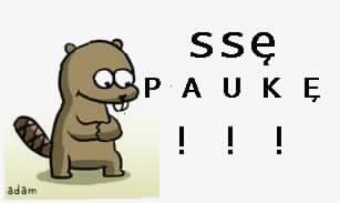 Bober- musimy dalej...ssać!