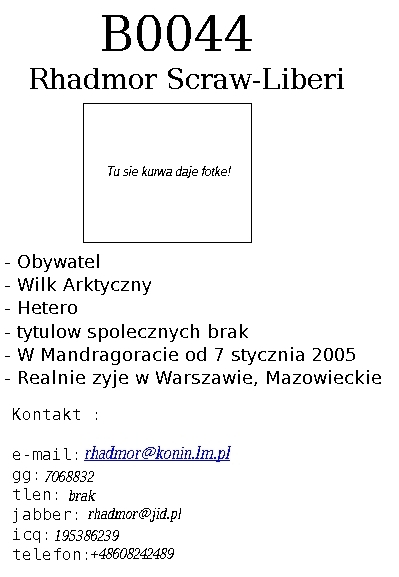 Mój concept art profilu MW