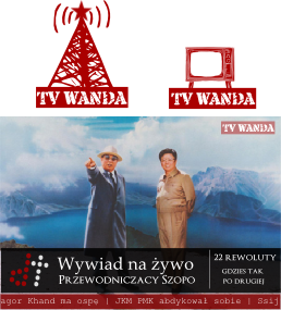 Jak powinno wyglądać logo TVW