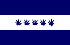 Nowa flaga Baridasu