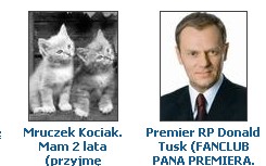 Wszystkie kociaki kochają Donka!