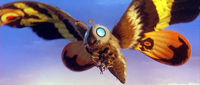 kapitan Euzebiusz Mothra