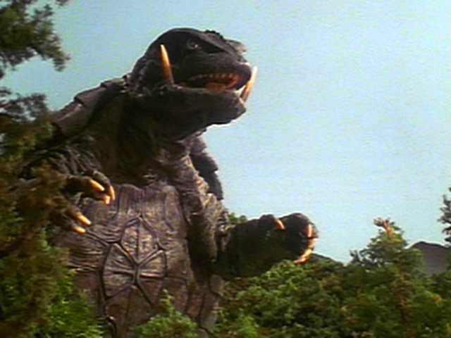 starszy szeregowy Janusz Gamera