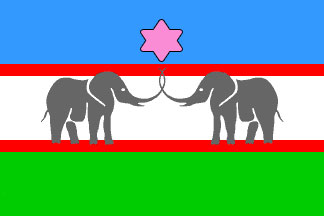 Flaga Bergmaniki